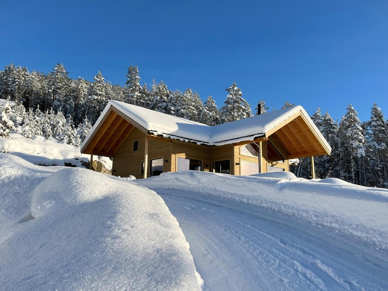 Furuheim Lodge, 4 Seizoenen Vakantiehuis Met Fantastisch Uitzicht 브라달 외부 사진
