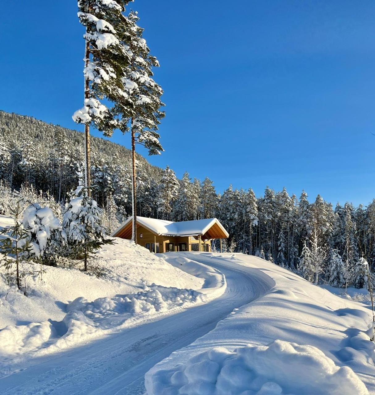 Furuheim Lodge, 4 Seizoenen Vakantiehuis Met Fantastisch Uitzicht 브라달 외부 사진